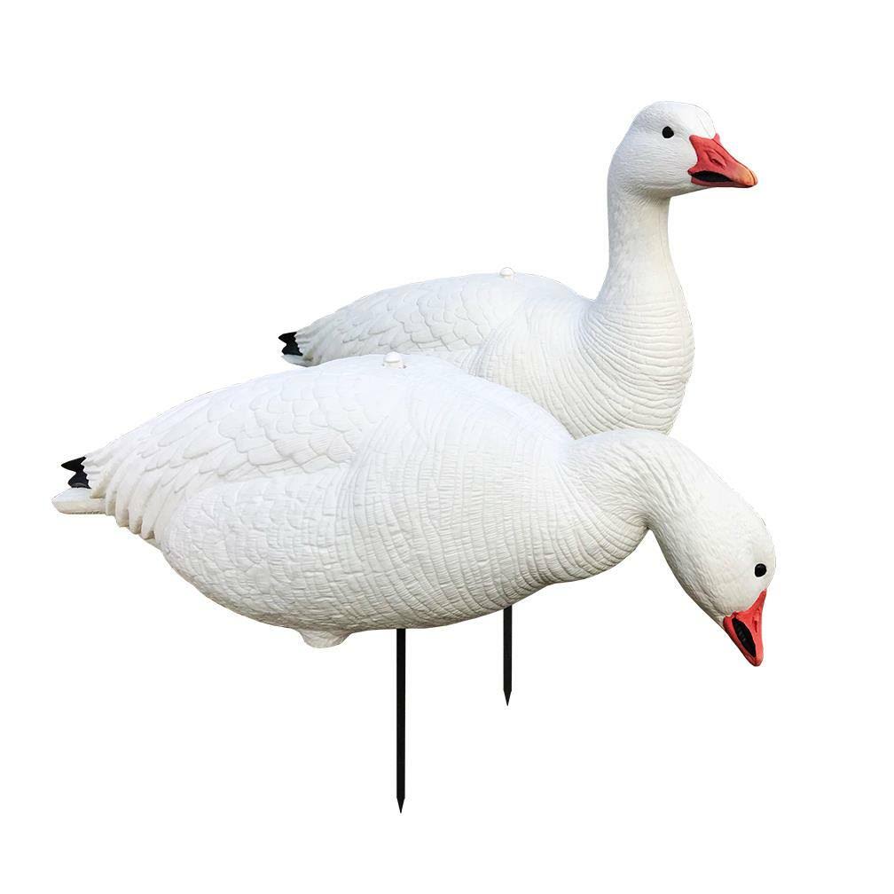 White Rock Decoys Evac Series Full-Body Snow Goose Decoys