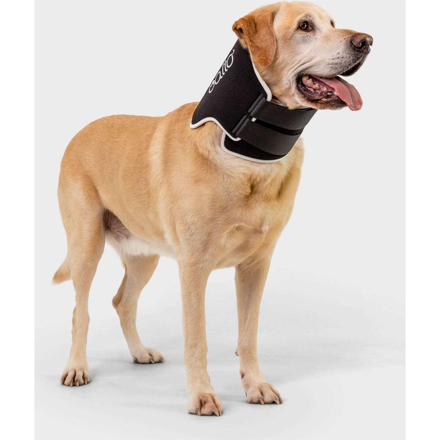 Balto Dog Cone Alternative E-Collar - Pet Supplies online store