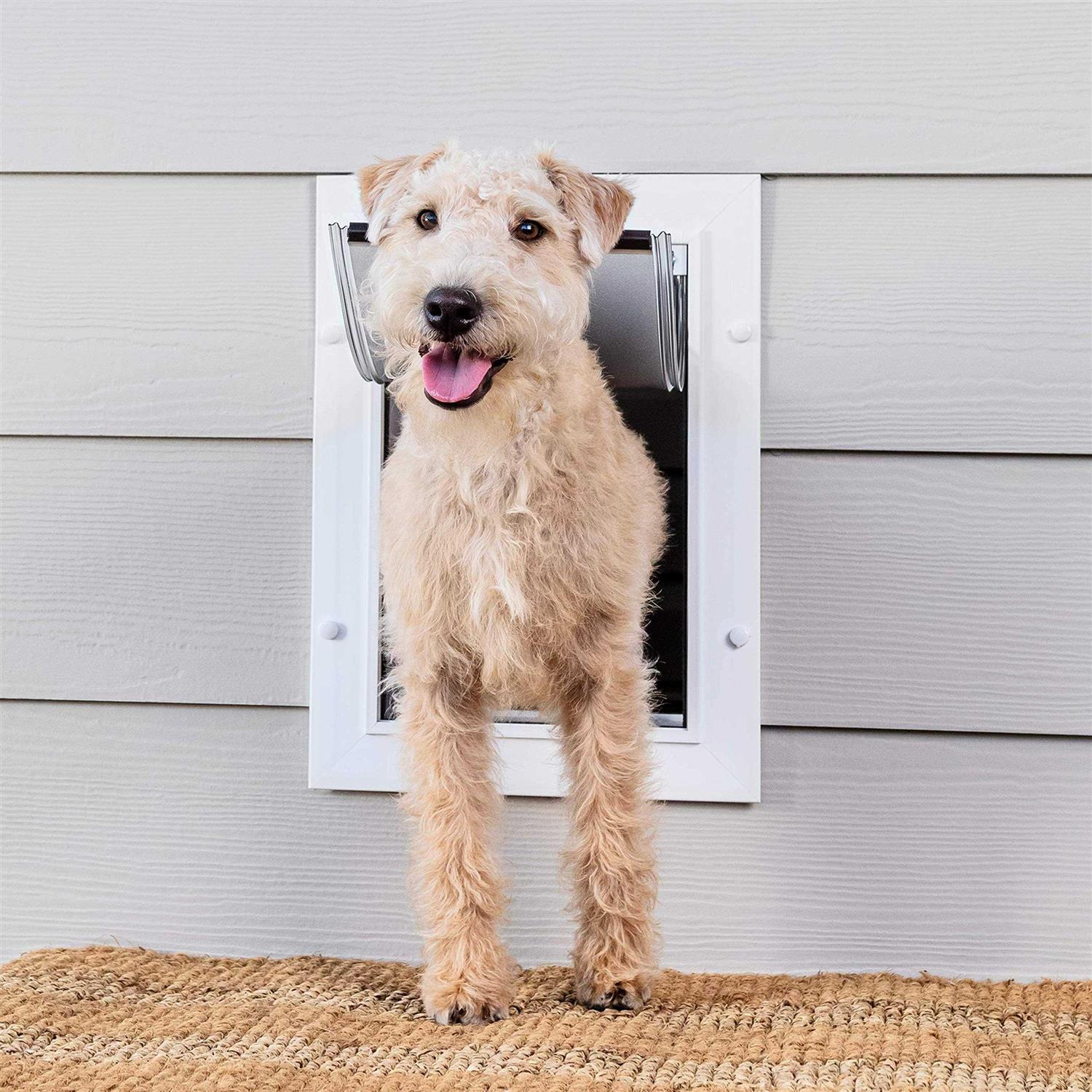 PetSafe Wall Entry Pet Door - Pet Supplies online store