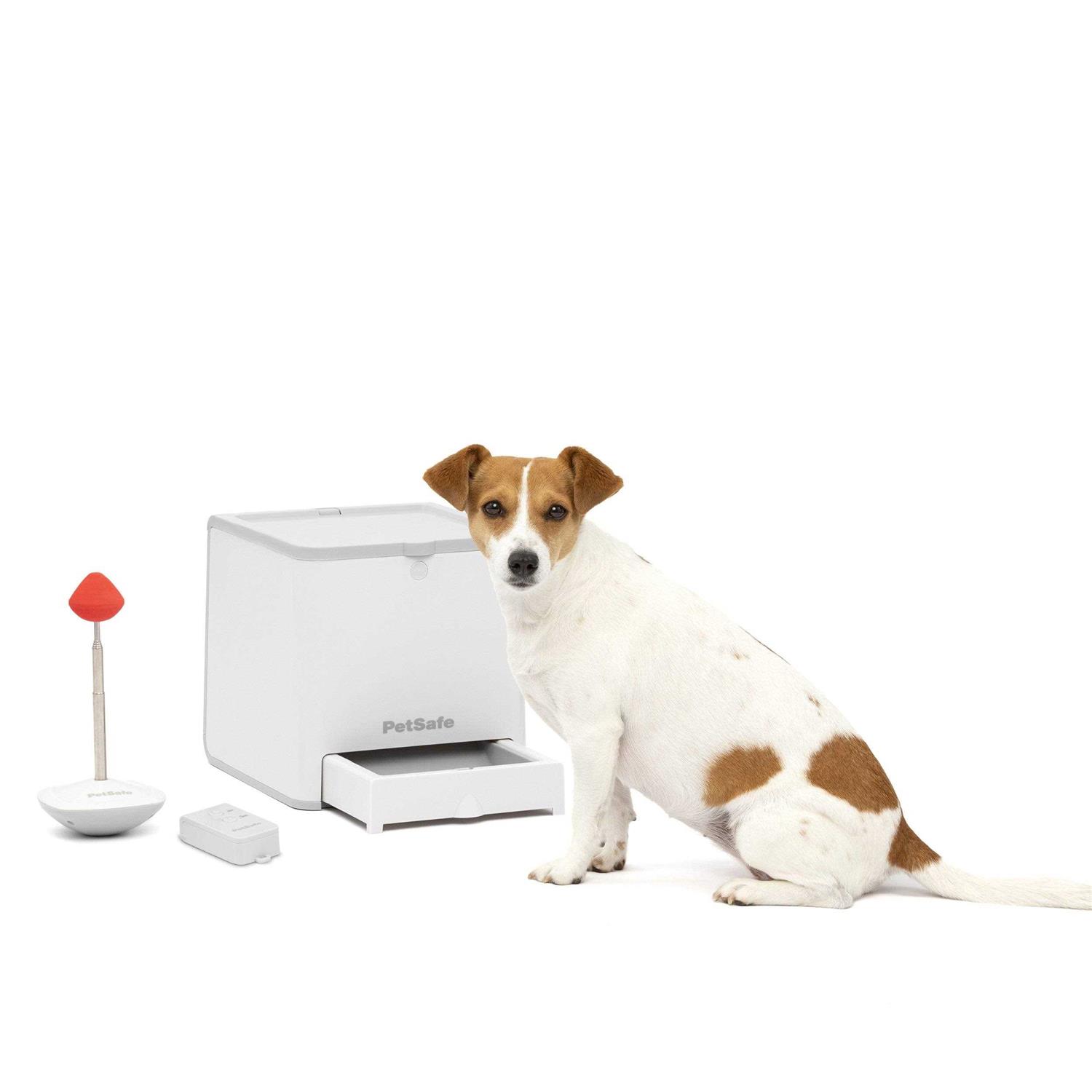 PetSafe Teach &amp; Treat Remote Reward Trainer - Pet Supplies online store