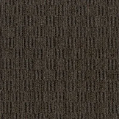 24 x 24 Premium Self-Stick Carpet Tile Albero Valley Color: Mocha