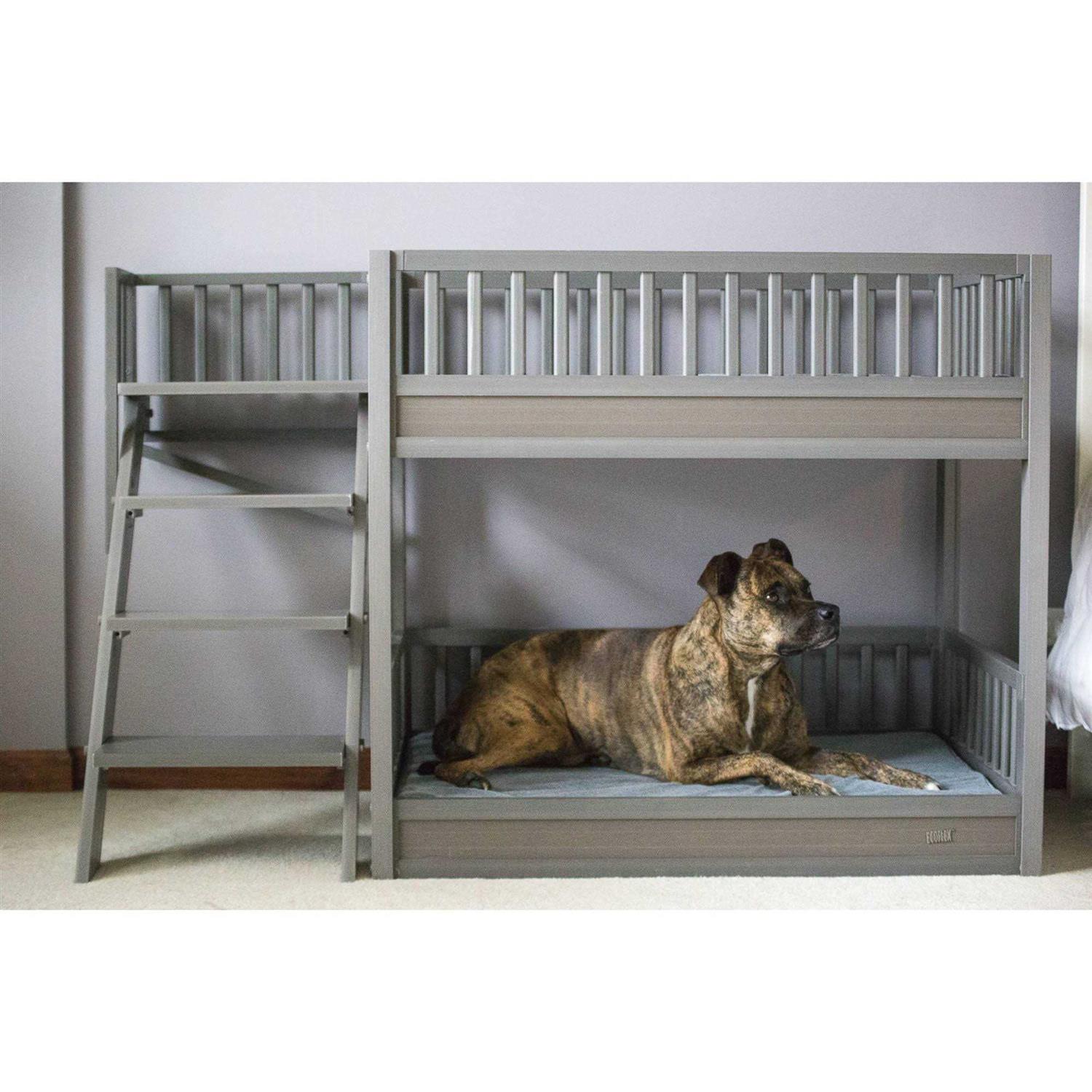 ECOFLEX Dog Bunk Bed with Removable Cushions New Age Pet - Pet Supplies online store