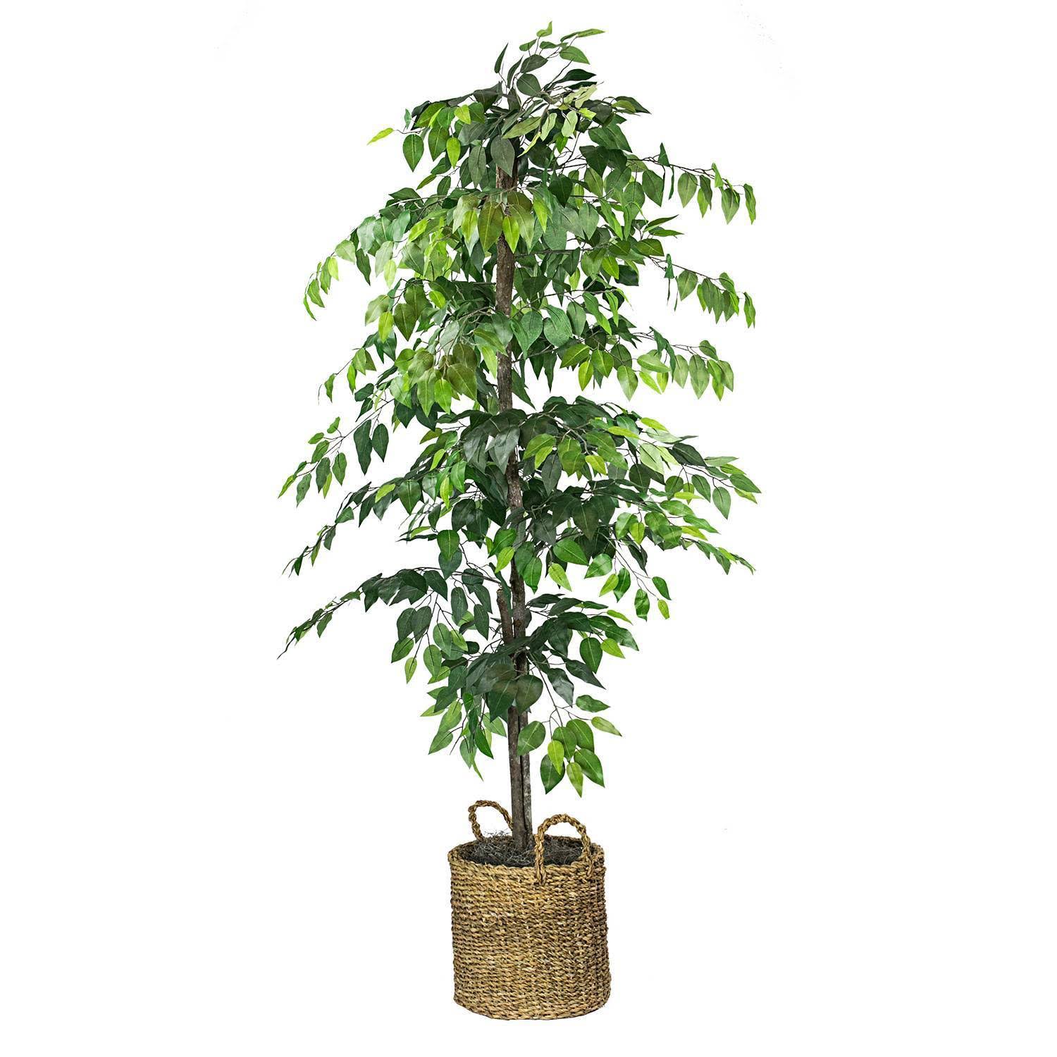 LCG Sales Faux 6& Ficus Tree in Roped Style Handwoven Basket