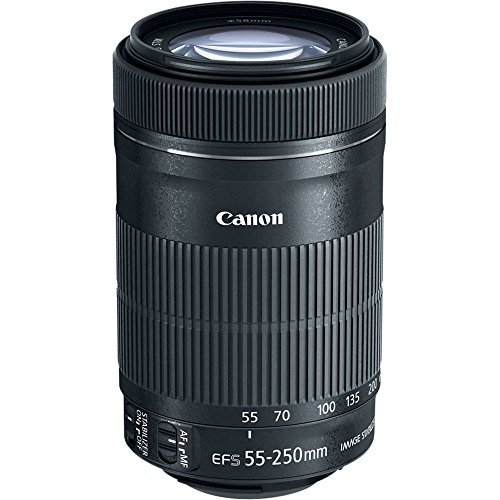 Canon 55-250mm STM