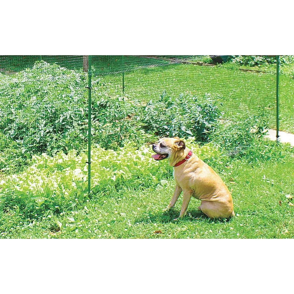 Tenax Deer Fence Kit 7& x 100&