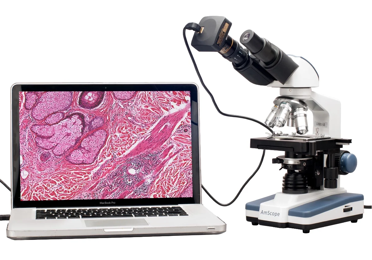 AmScope 40X-2000X LED Lab Binocular Compound Microscope w 3D Stage + 5MP HD Digital Camera