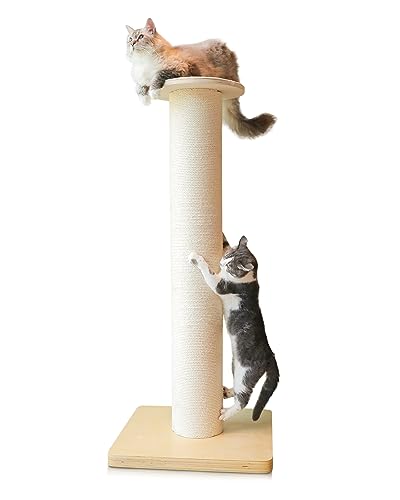 50" Tall Cat Scratching Post, Extra-Large Cat Scratch Post for Biggest Cats (Maine Coon), 7.3” Thick Post, 36lbs Weight