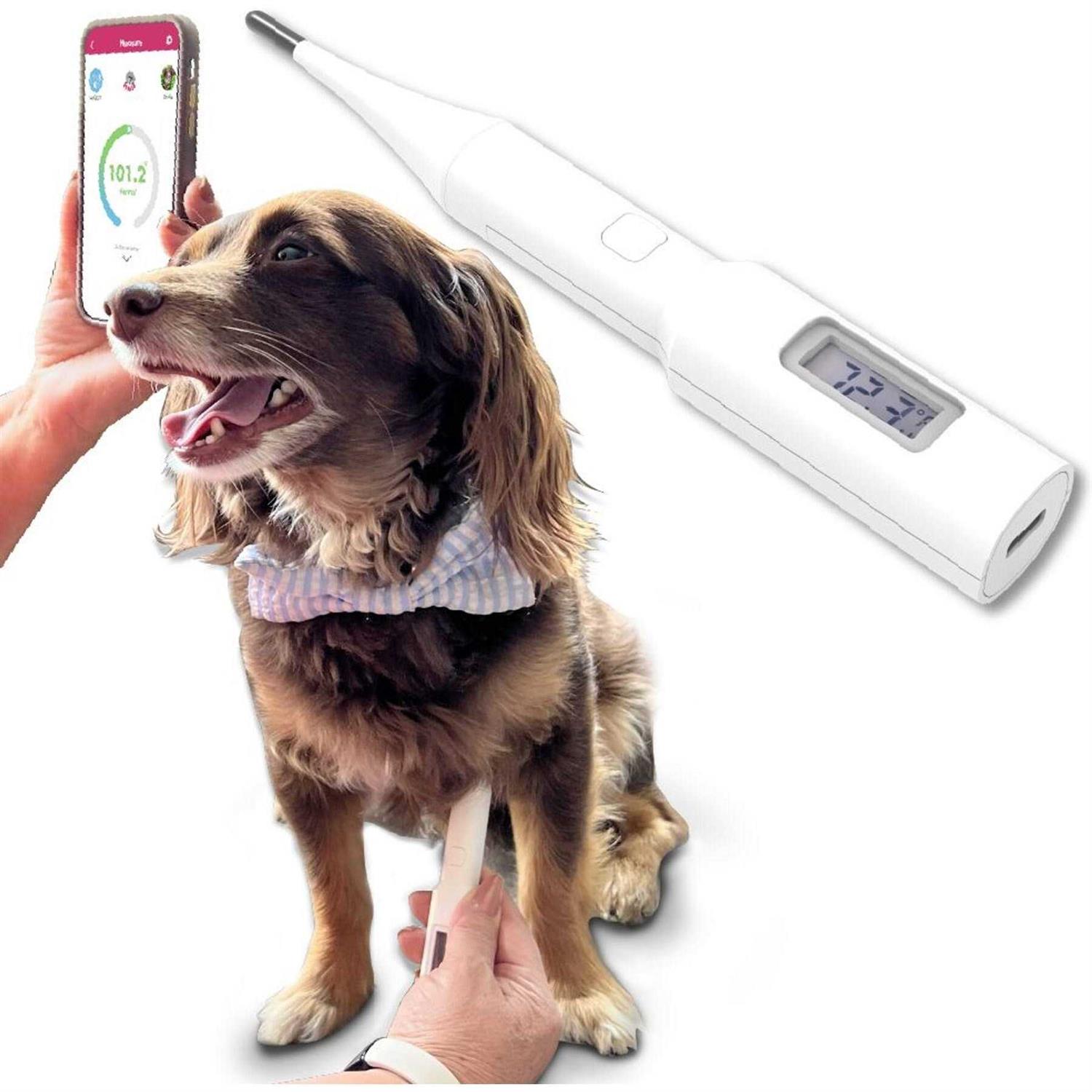 Non-invasive Underarm Pet Thermometer by Mella Pet Care - Pet Supplies online store