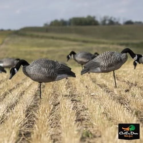 LUCKY DUCKY DECEPTION SERIES COLLAPSIBLE FULL BODY CANADA GOOSE DECOYS - Curated Treasures Market