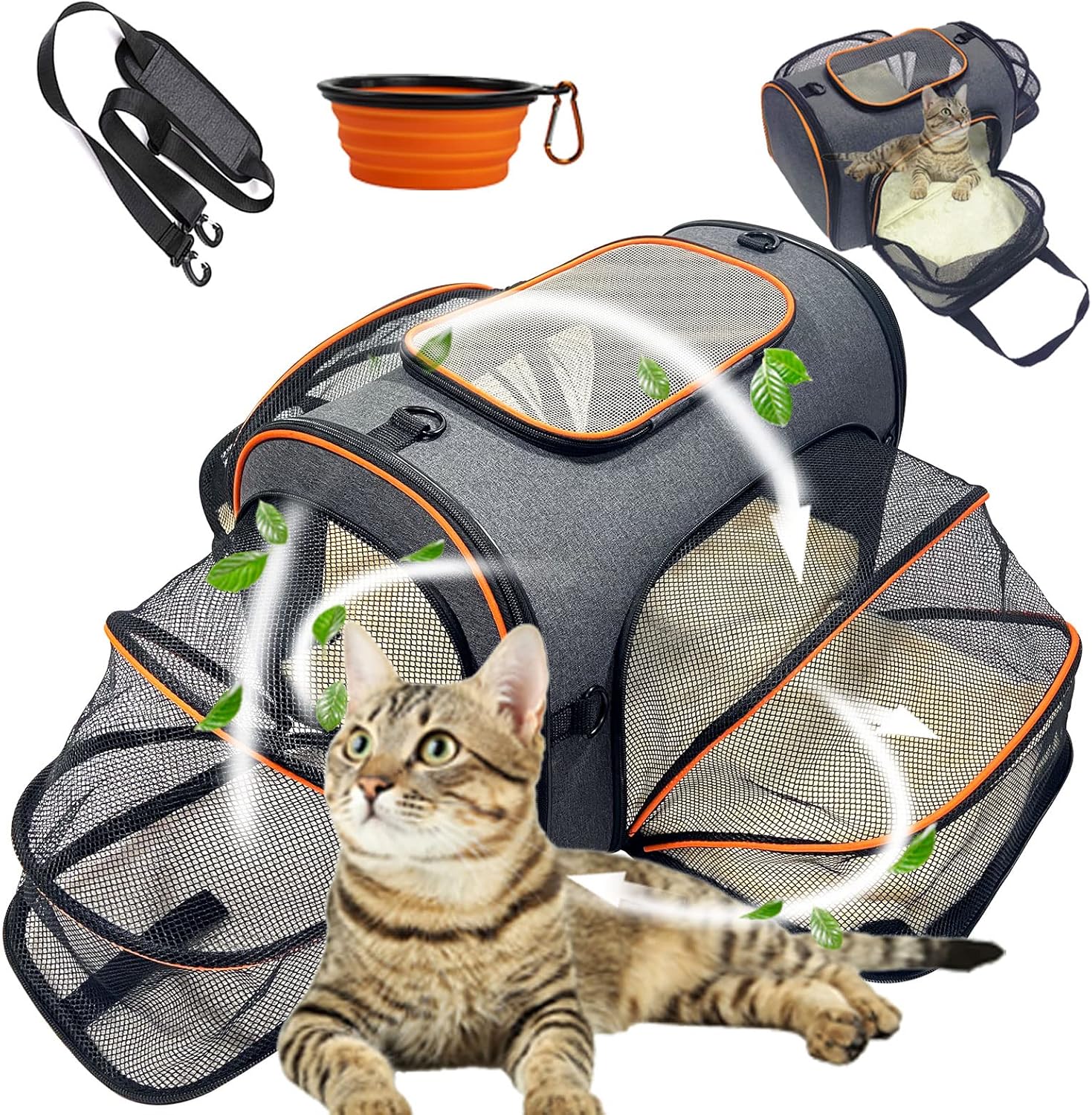 Cat Carrier, 3 Sides Expandable Foldable Pet Carrier for Medium Cat Small Dog