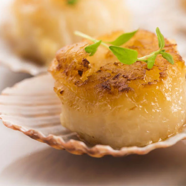 Lobster Gram 2 lbs Colossal Sea Scallops by Lobster Gram