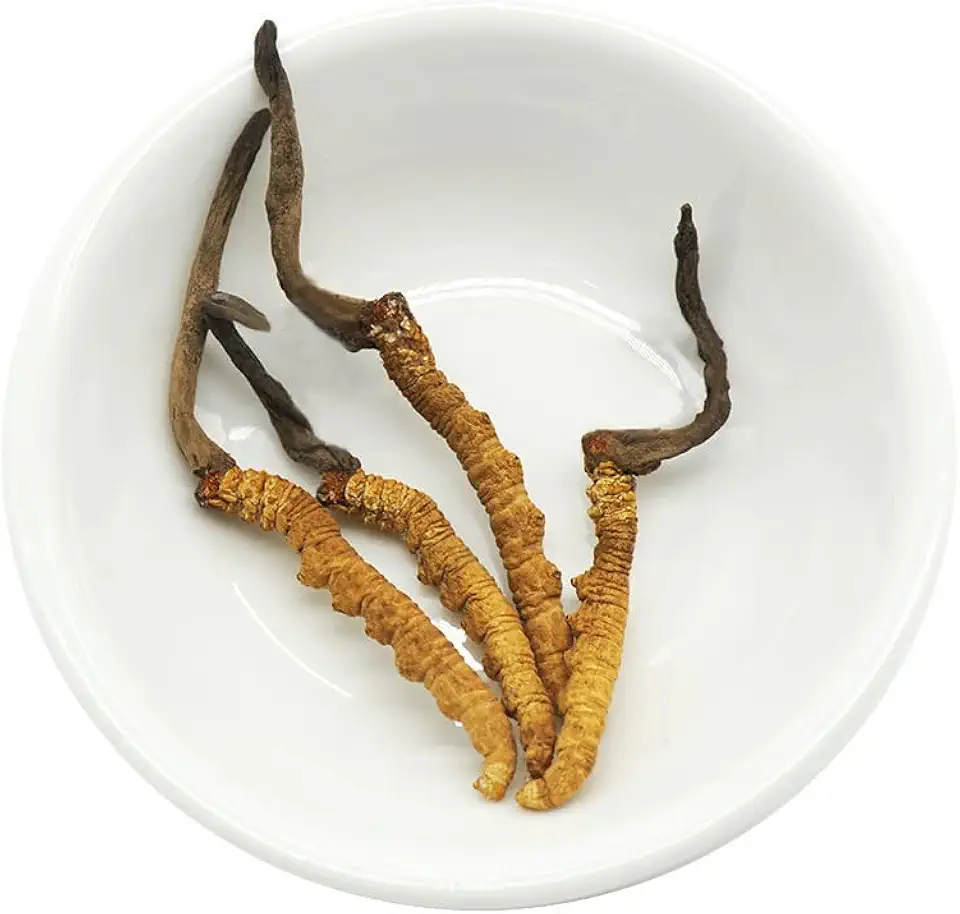 Genuine Dried Cordyceps sinensis/winterworm summerherb, Ophiocordyceps sinensis, Tibet Featured, (4 pcs) net Weight 1g. - Kansas Nuitrition - HNZSDS