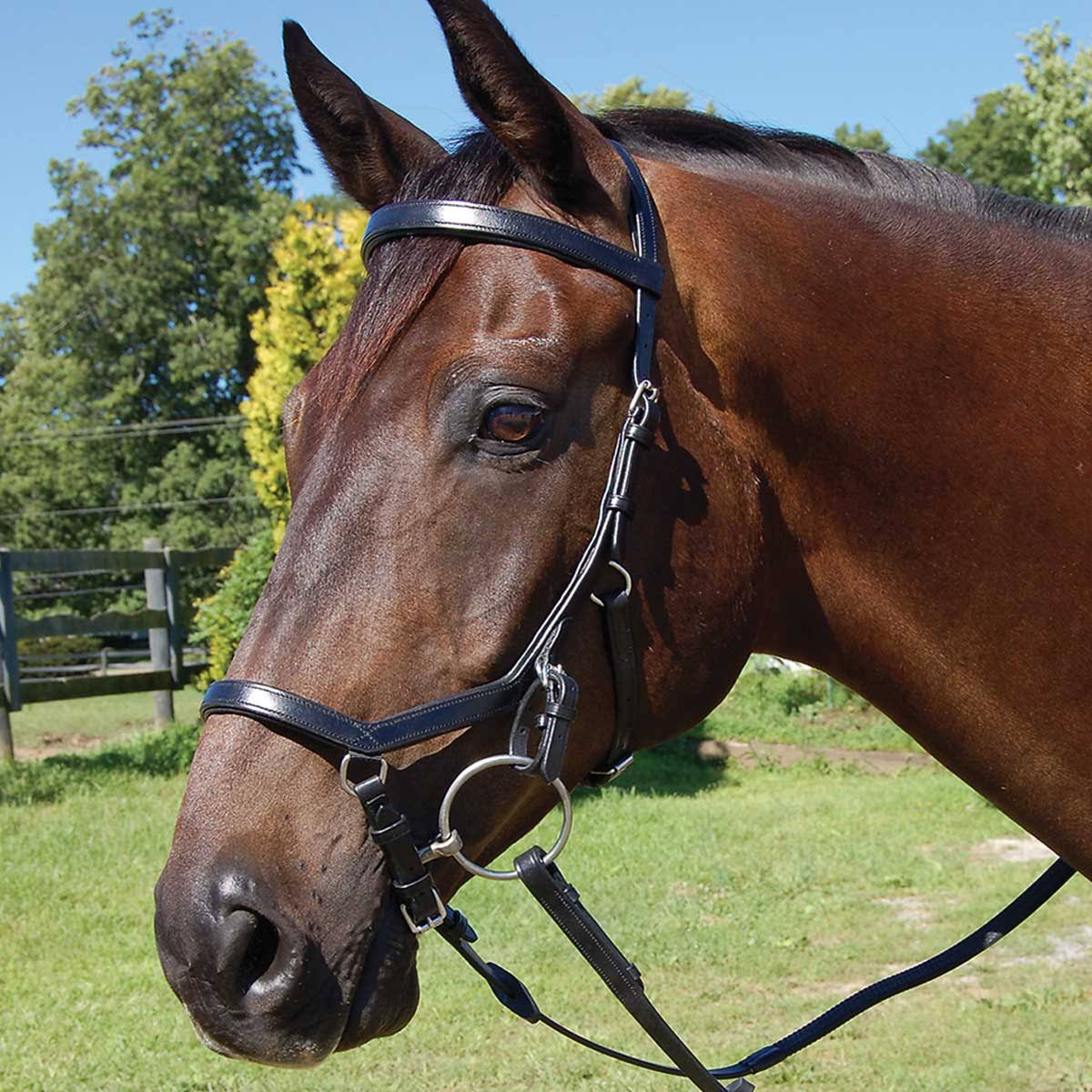 Micklem Competition Bridle