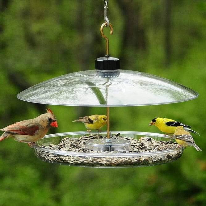 Droll Yankees Covered Platform Feeder with Adjustable Dome, 1 lb. Capacity