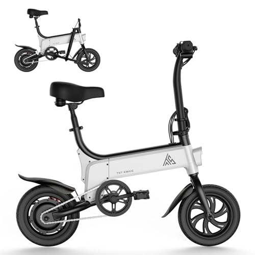 TST Folding Electric Bike, Electric Bicycle 450W Peak Motor, Ebike 16MPH,Up to 15 Miles, 12" Pneumatic Tires for Better Driving Experience
