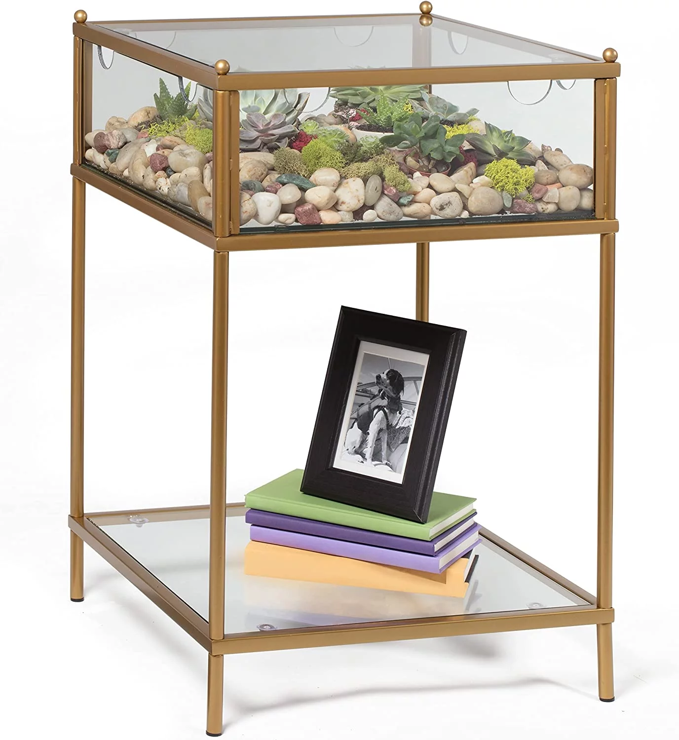 D'Eco Square Terrarium Glass End Table, 18x18x27
