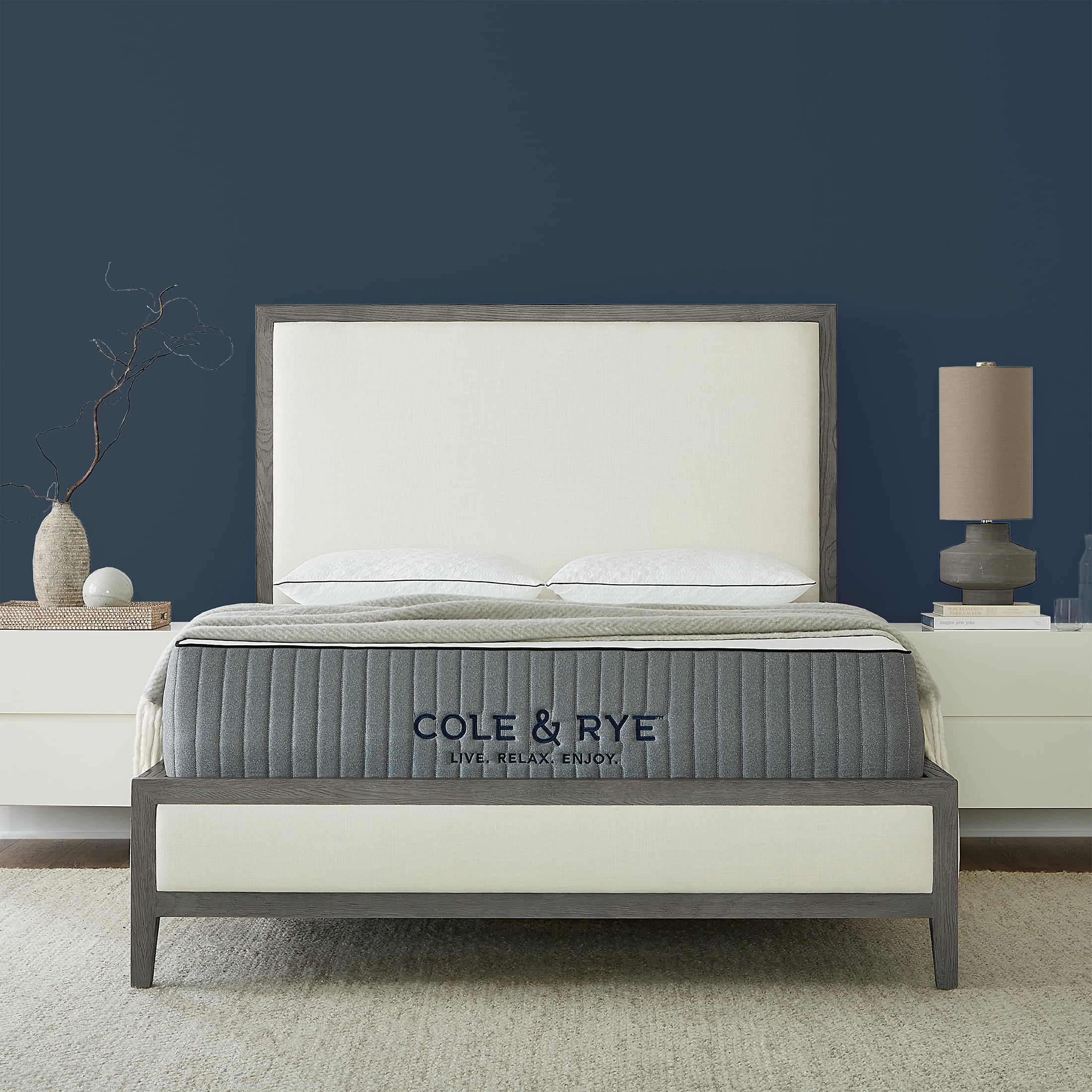 Cole & Rye ArticSky 12" Medium Firm Hybrid of Gel Memory Foam and Spring Mattress with BONUS Pillows, King