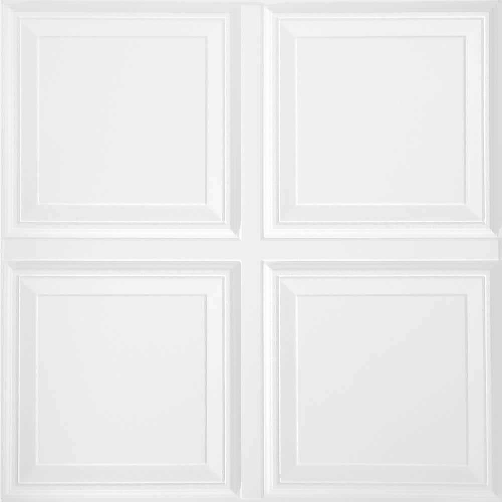 Armstrong Prestige 24 x 24 x 5/8-Inch White Mineral Fiber Raised Panel - Shop Hardware Tools Online Store