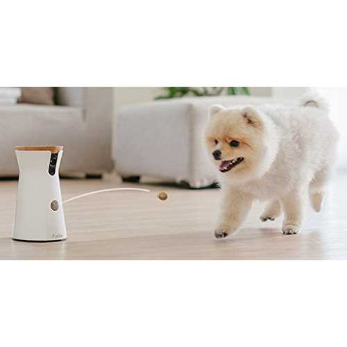 Furbo Dog Camera - Pet Supplies online store