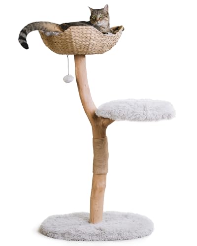 Wooden Cat Climbing Tree Tower, Modern Single Branch Cat Condo, Wood, Cat Lover Furniture Gift by MAU LIFESTYLE (Alpine White)