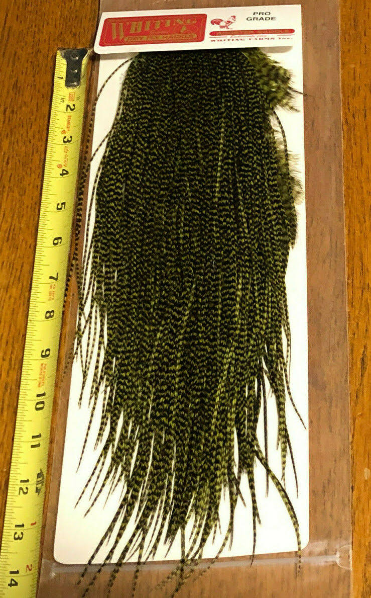 Whiting Midge Grizzly Olive Rooster Saddle, Pro Grade, Fly Tying