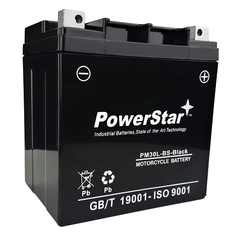YTX30L-BS Battery for Sea-Doo Personal Watercraft Jet Ski