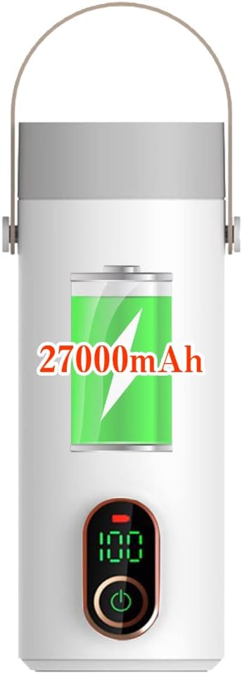 Cordless Portable Electric Kettle