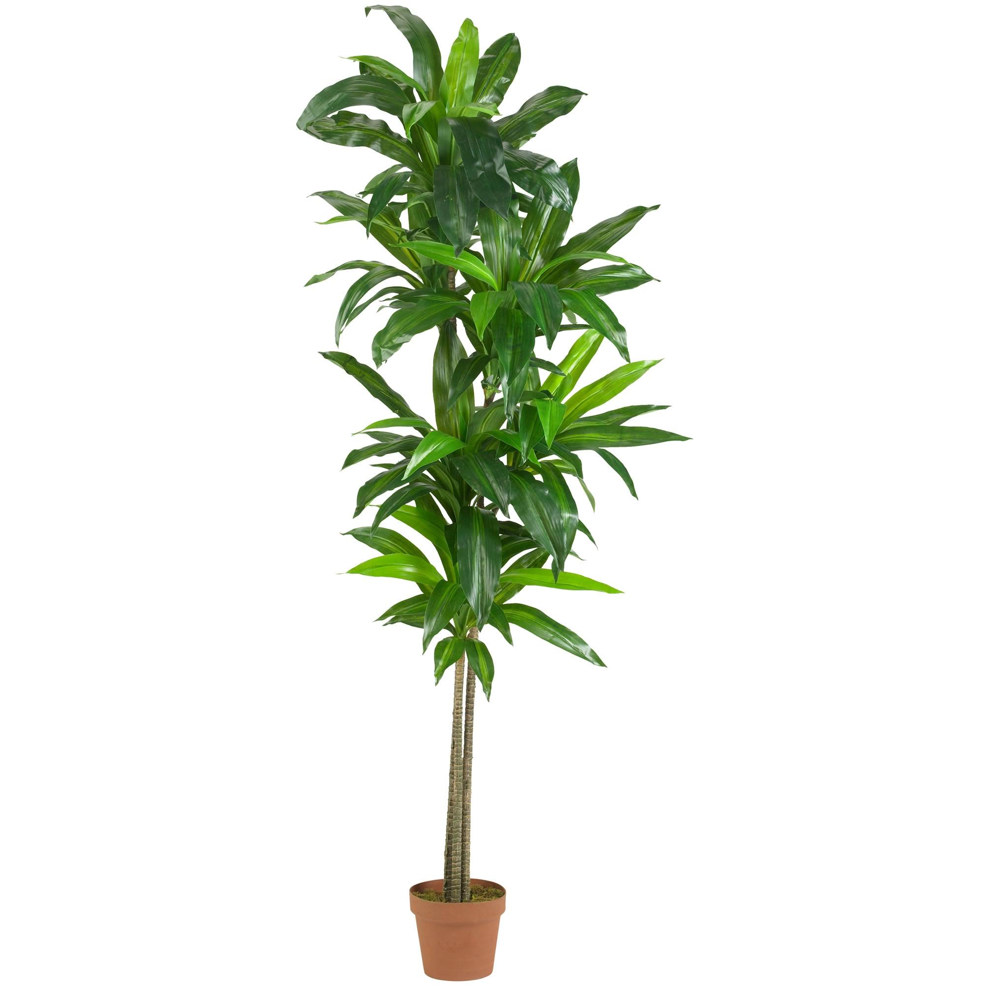 Nearly Natural 6&H Real-Touch Silk Dracaena Plant with Pot, Green