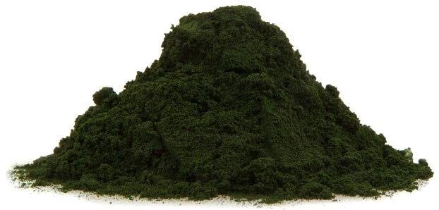 Organic Chlorella Powder - Protein-Rich - 5 Pounds - Bulk Discount