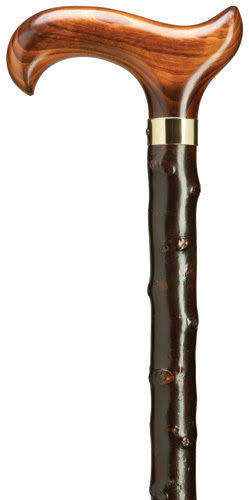 Derby Blackthorn Walking Cane