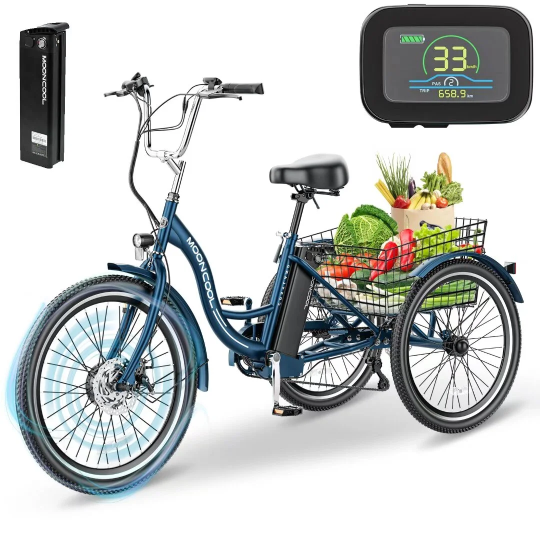 24 Inch Adult Electric Tricycles 3 Wheel Electric Bike