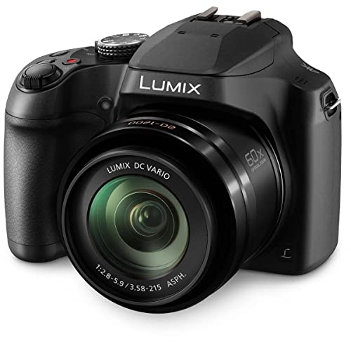 Panasonic LUMIX FZ80D Compact Camera with 20-1200mm Zoom Lens