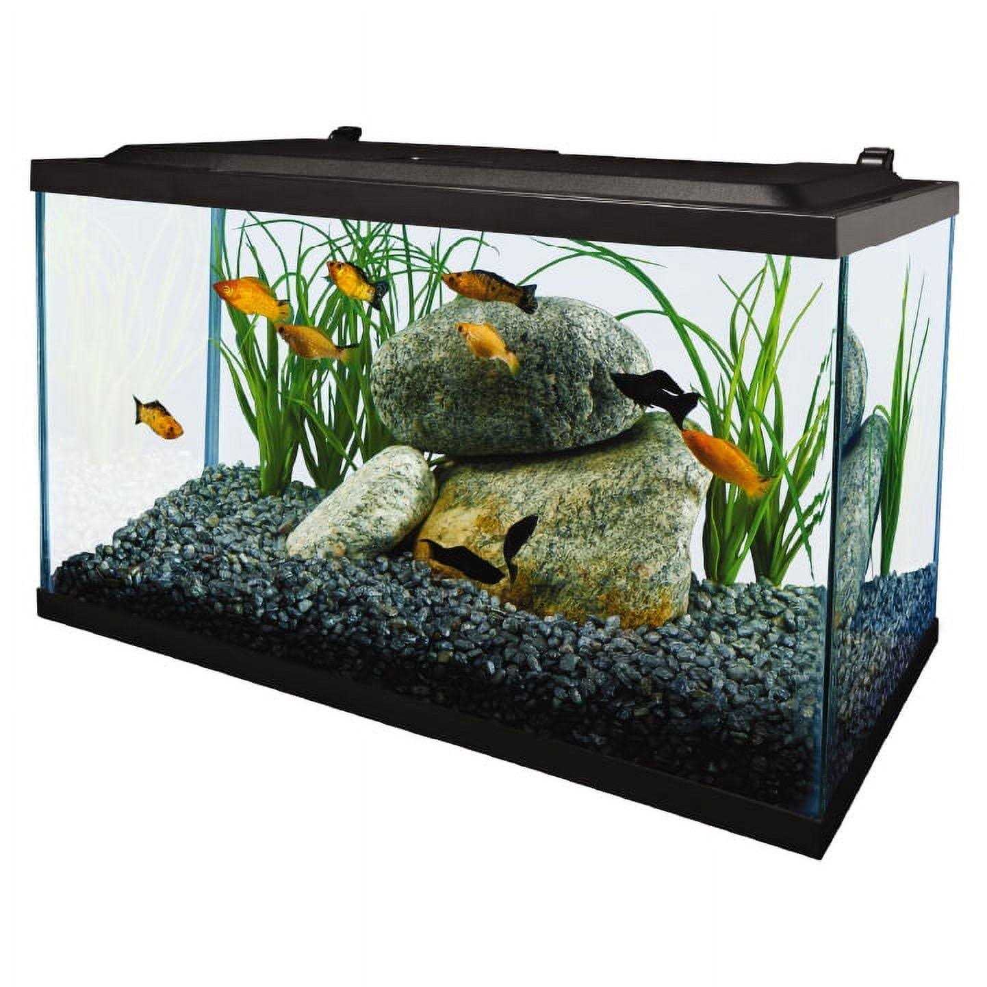 Tetra 10 Gallon Glass LED Aquarium Kit - Pet Supplies online store
