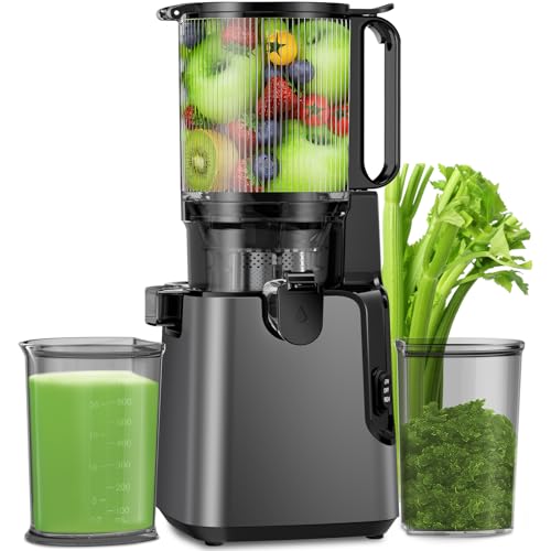 Juicer Machines with 5.8" Large Feed Chute, Cold Press Juicer For Whole Vegetables and Fruits