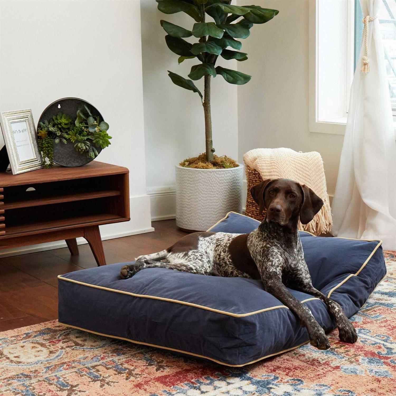 Happy Hounds Bailey Rectangle Pillow Dog Bed w/ Removable COVER - Pet Supplies online store