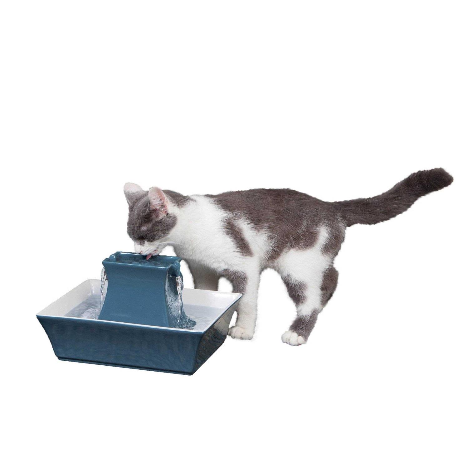 PetSafe Drinkwell Pagoda Fountain