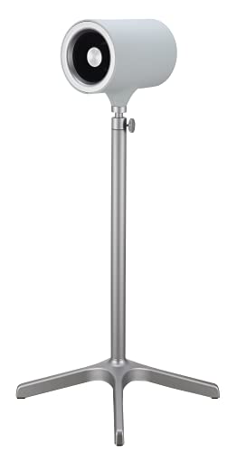 Everdure 49.4 Inch Indoor/Outdoor Pedestal Fan, 6 Speed Settings, Targeted Airflow Control, Oscillating Fan, Remote Control Included