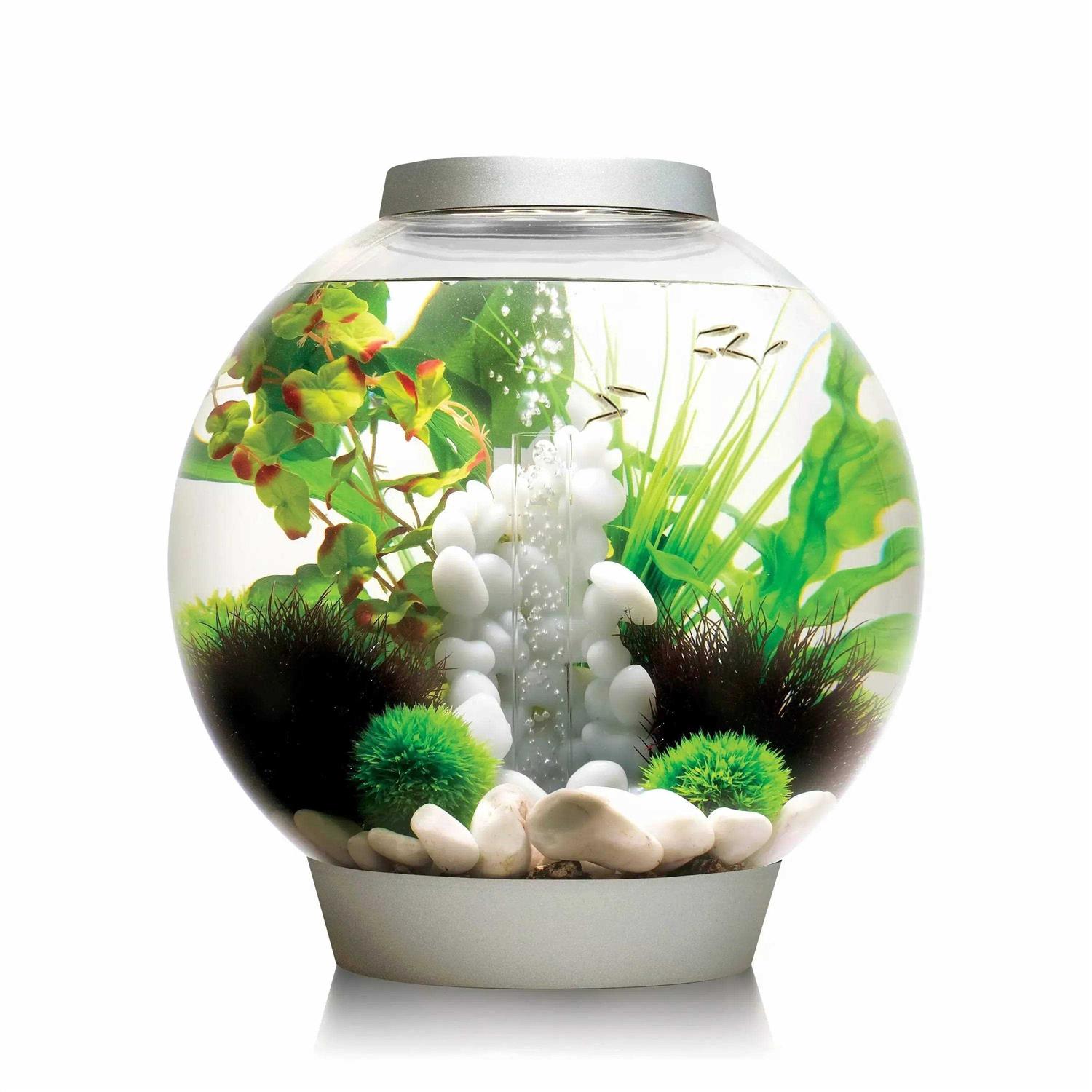 biOrb CLASSIC Collection - Pet Supplies online store