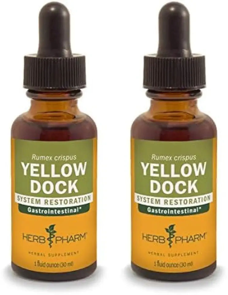 Herb Pharm Yellow Dock Liquid Extract for Digestive System Support - 1 Ounce (Pack of 2) - Kansas Nuitrition - HNZSDS