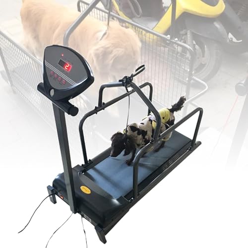 Electric Dog Treadmill for All Breeds - Quiet Motor, Adjustable Speed, LCD Display - Indoor Pet Fitness Machine for Small, Medium & Large Dogs & Cats