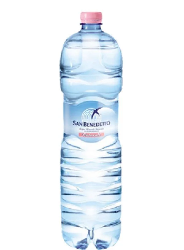 San Benedetto Water Sparkling Pet