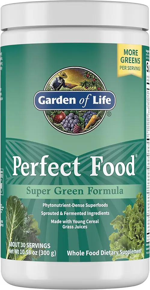 Garden of Life Perfect Food Super Green Formula - 30 Servings | 45 Superfoods, Greens, Fruit & Veggie Juice Superfood Powder Supplement
