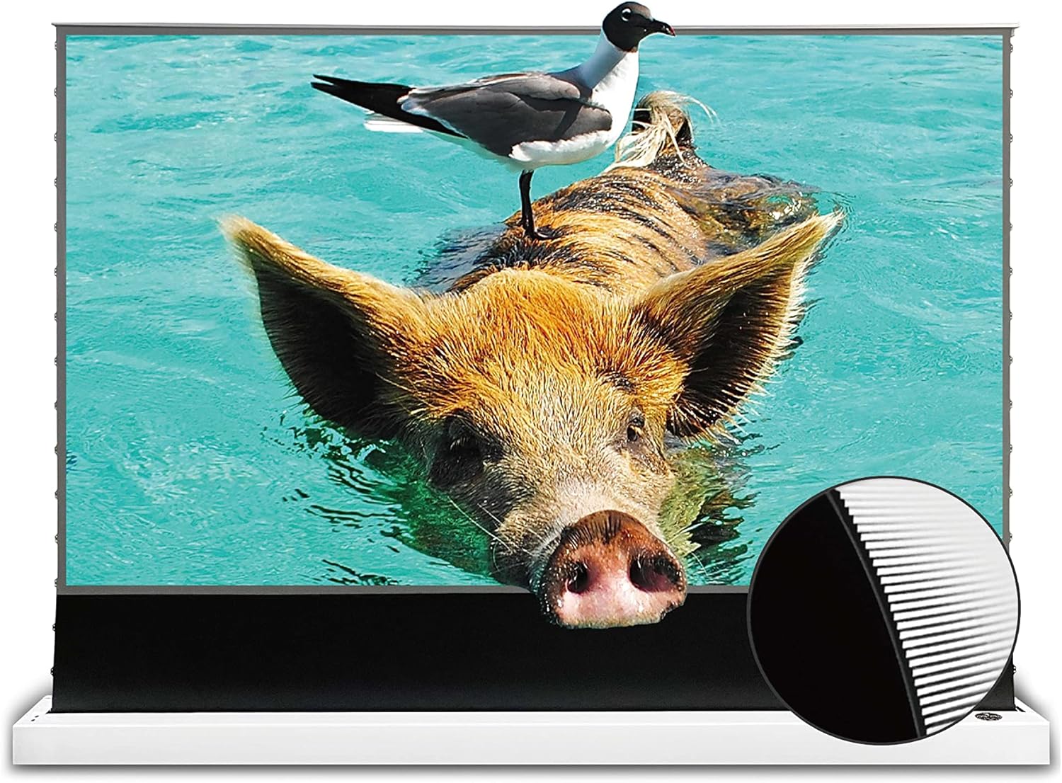 VIVIDSTORM-Projection Screen S PRO 100 inch Motor Rollable Laser TV Tensioned Floor Screen Ambient Light Rejecting Suit for 4k HD Office Movie Cinema