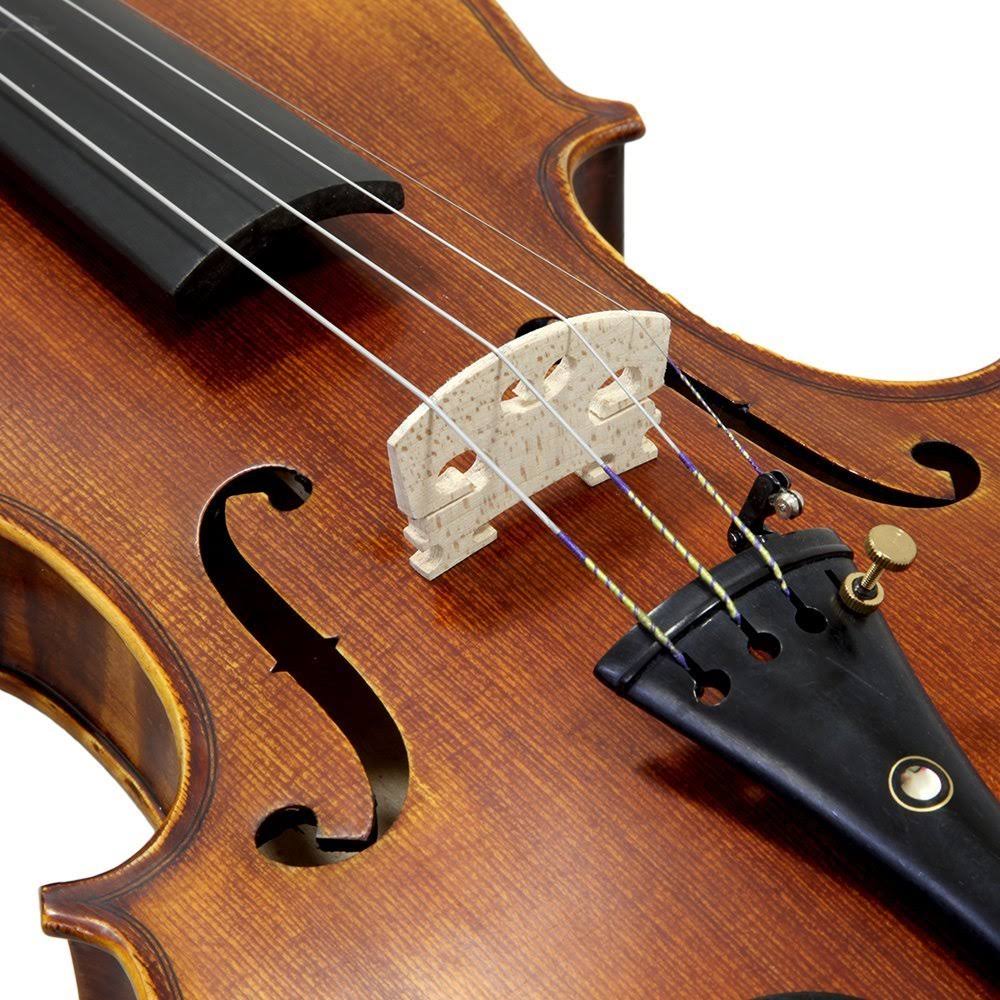 Sky 4/4 Full Size Skyvnsh100 Premium Hand Carved Ebony Fitted Violin Outfit, Beige