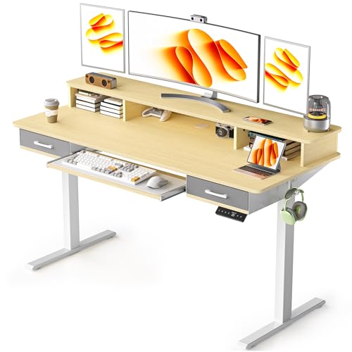 48x24 Inches Electric Standing Desk with 2 Drawers, Height Adjustable Stand up Desk for Home Office, Ergonomic Sit to Stand Table with Storage Shelf