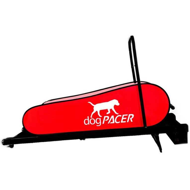 dogPACER LF 3.1 Dog Treadmill - Pet Supplies online store