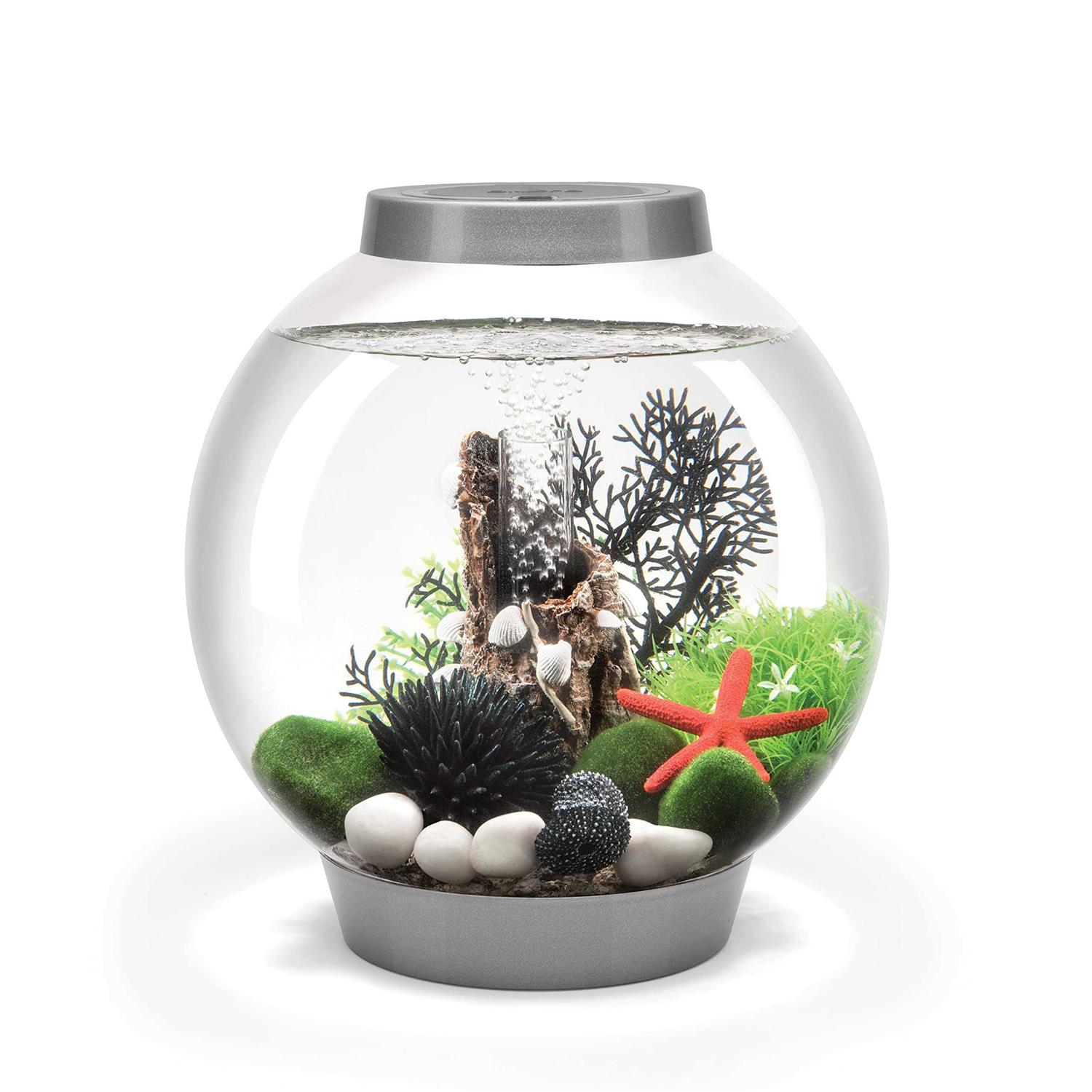 biOrb CLASSIC Collection - Pet Supplies online store