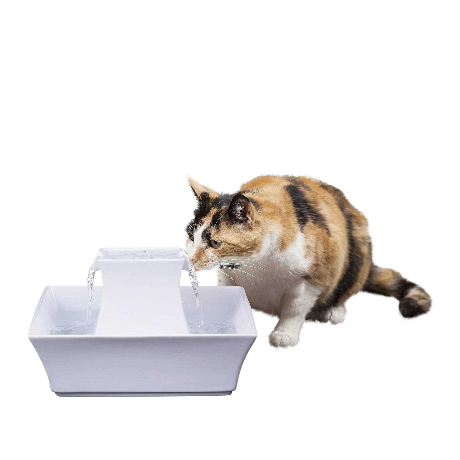 PetSafe Drinkwell Pagoda Fountain - Pet Supplies online store