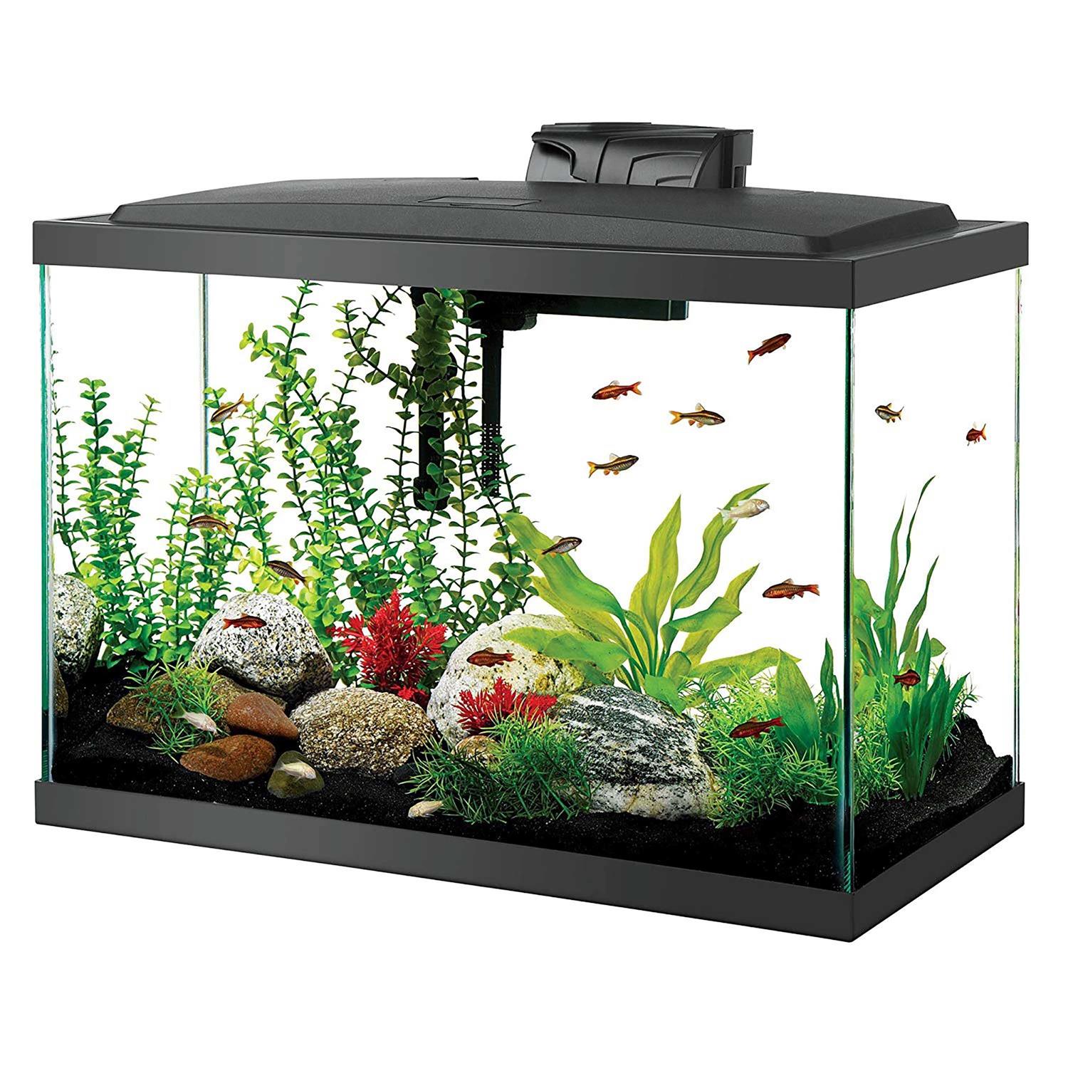 Aqueon 20 Gallon LED Aquarium Kit - Pet Supplies online store