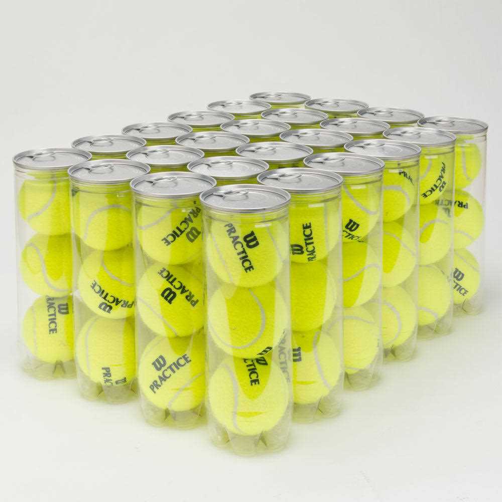 Wilson Practice 24 Cans Tennis Balls - Sports Supplies Online Store